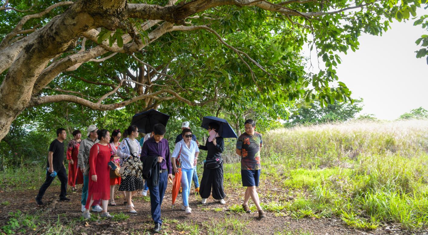 Gemma engineer attend ling qinzhou training headquarters